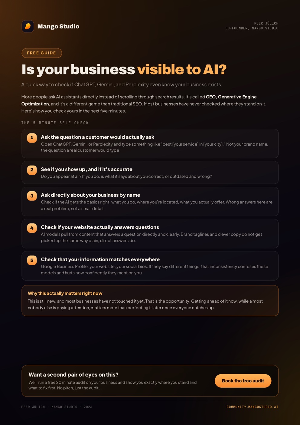 Preview of the Is your business visible to AI guide